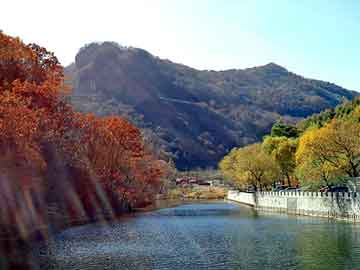 澳门天天免费精准大全，沈阳铁路工务机械段